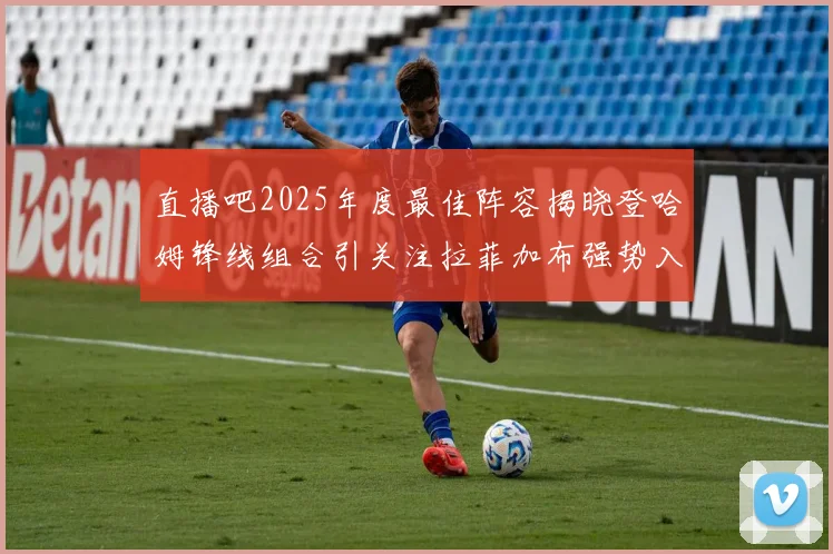 直播吧2025年度最佳阵容揭晓登哈姆锋线组合引关注拉菲加布强势入选