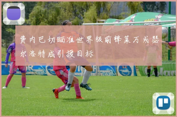 费内巴切瞄准世界级前锋莱万或瑟尔洛特成引援目标